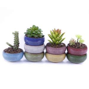 Miniature Planters Multiple Colors  6*6*3 CM